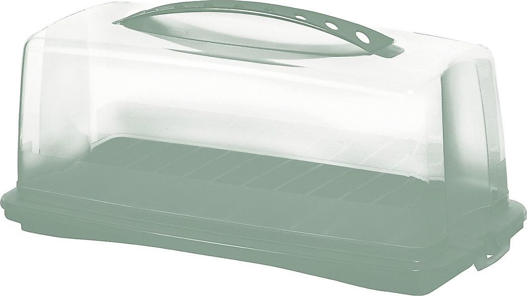 ROTHO Küchenorganizer-Set Rotho Kuchenbehälter Fresh Cake mit günstig online kaufen