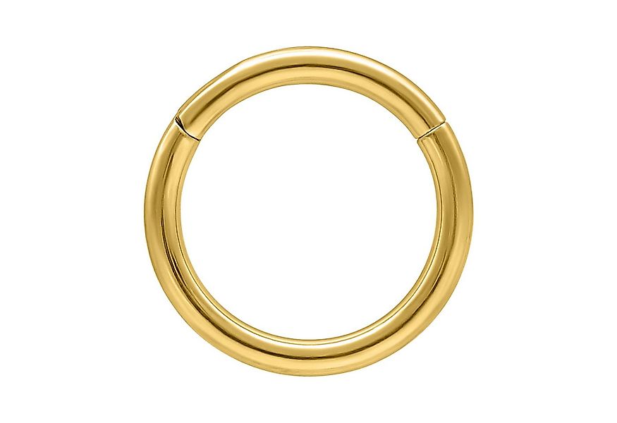 Wildcat Nasenpiercing Hinged Ringfür Ohr, Lippe, Nase, Bauchnabel, 1 Stück, günstig online kaufen