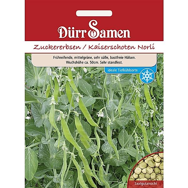 Dürr Samen Zuckererbsen Norli Saatgut günstig online kaufen