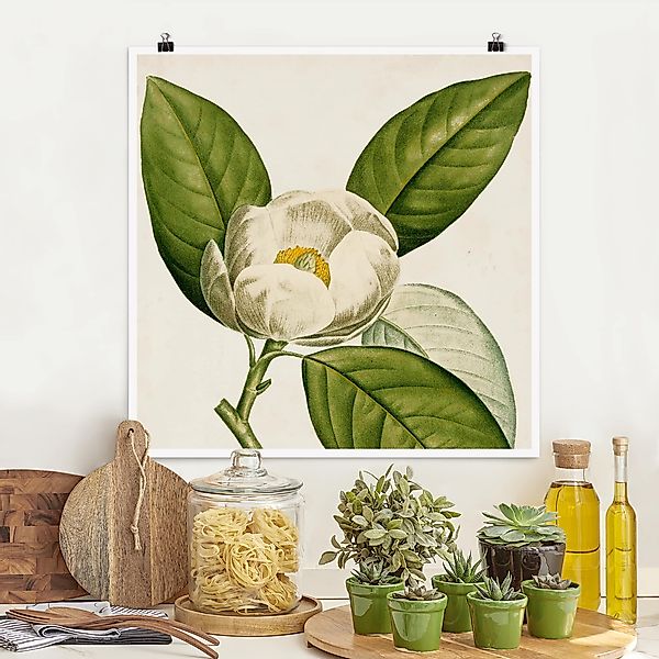 Poster - Quadrat Tableau Blatt Blüte Frucht II günstig online kaufen