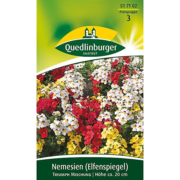 Quedlinburger Nemesie Elfenspiegel ''Triumph Mischung'' günstig online kaufen