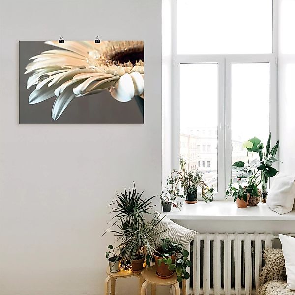Artland Wandbild »Blüte einer Gerbera«, Blumen, (1 St.) günstig online kaufen