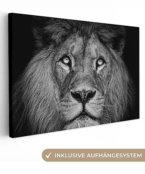 OneMillionCanvasses® Leinwandbild Löwe - Porträt - günstig online kaufen