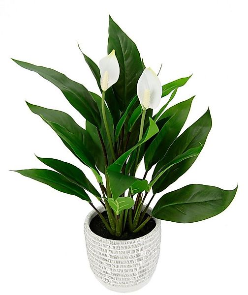 Kunstpflanze Spathiphyllum, I.GE.A., Höhe 48 cm, im Topf Anthurie Calla Fla günstig online kaufen