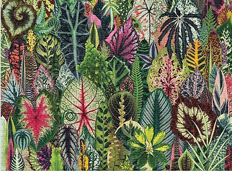 Chronicle Books Puzzle Dschungel Zimmerpflanzen, Puzzleteile günstig online kaufen