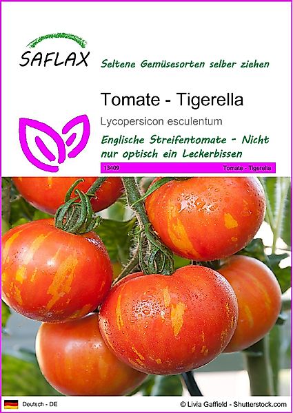 SAFLAX Gemüsesamen SAFLAX - Samen - günstig online kaufen