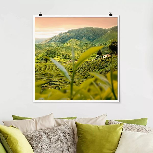 Poster Natur & Landschaft - Quadrat Teagarden günstig online kaufen
