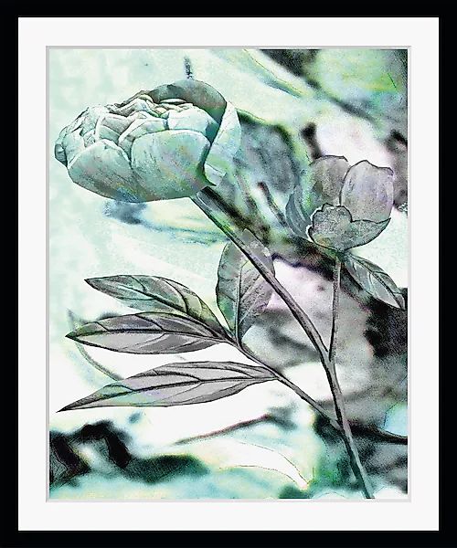 queence Bild »Elise«, Blumen, gerahmt, Rose günstig online kaufen