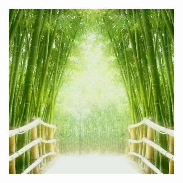 Bilderwelten Fototapete Bamboo Way grün Gr. 432 x 290 günstig online kaufen