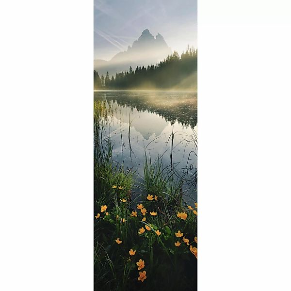 Komar Fototapete Vlies Morning Mist  100 x 280 cm günstig online kaufen