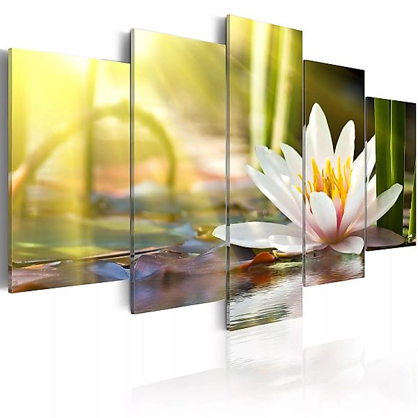 Wandbild - Sunny Lotus günstig online kaufen