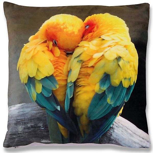 Bestlivings Kissenhülle Fotodruck 40 x 40 cm Tiger Grey Ohne Füllung günstig online kaufen