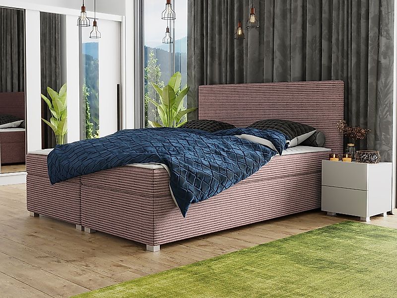 MIRJAN24 Boxspringbett Simple Cord (mit Topper), 140/160/180x200 cm, Bonell günstig online kaufen