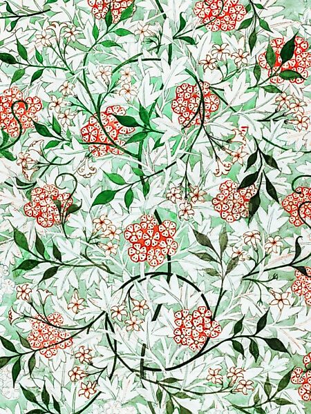 Poster / Leinwandbild - 'William Morris: Jasmin' günstig online kaufen