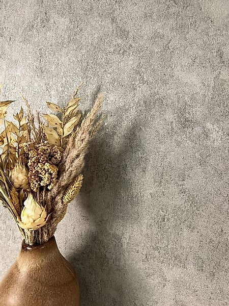 Newroom Vliestapete Damir Grey Tapete Universal Unifarbe,Putz-Optik,Leicht günstig online kaufen