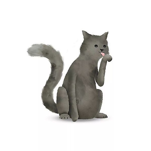 Komar Wandbild Cute Animal Cat Katze B/L: ca. 40x50 cm günstig online kaufen