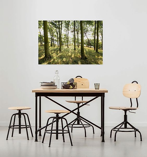 Komar Leinwandbild "Dänische Buchen - Größe 90 x 60 cm" Baum  Berge  Blumen günstig online kaufen