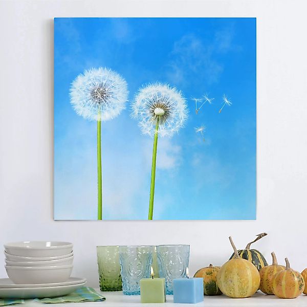 Leinwandbild Blumen - Quadrat Flying Seeds günstig online kaufen