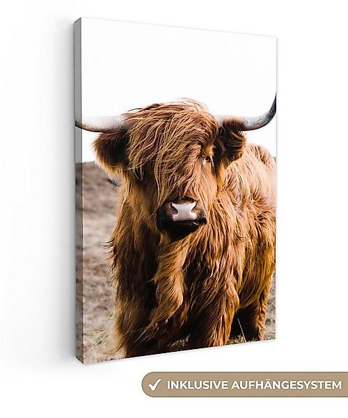 OneMillionCanvasses® Leinwandbild Schottische Highlander - Landschaft - Kuh günstig online kaufen