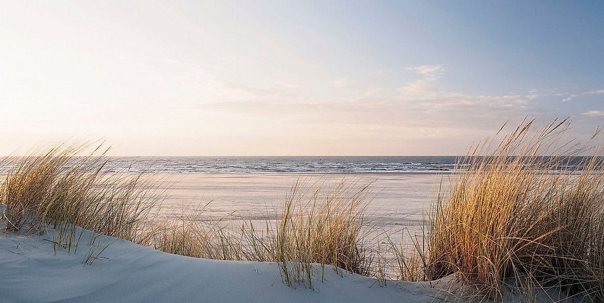 Bönninghoff Leinwandbild, Düne, Strand (1 St), BxH: 100x50 cm günstig online kaufen