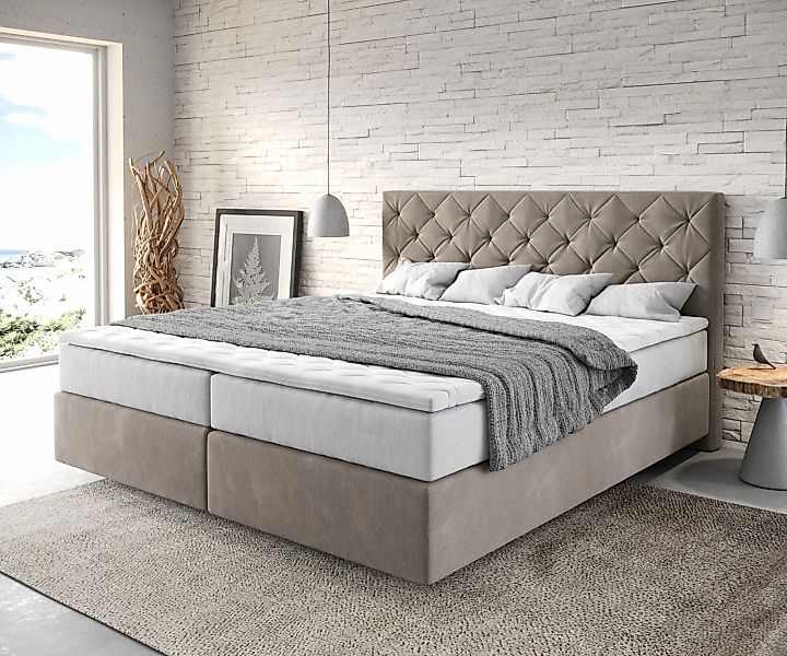 Boxspringbett Dream-Great 180x200 cm Mikrofaser Beige mit TFK Matratze und günstig online kaufen