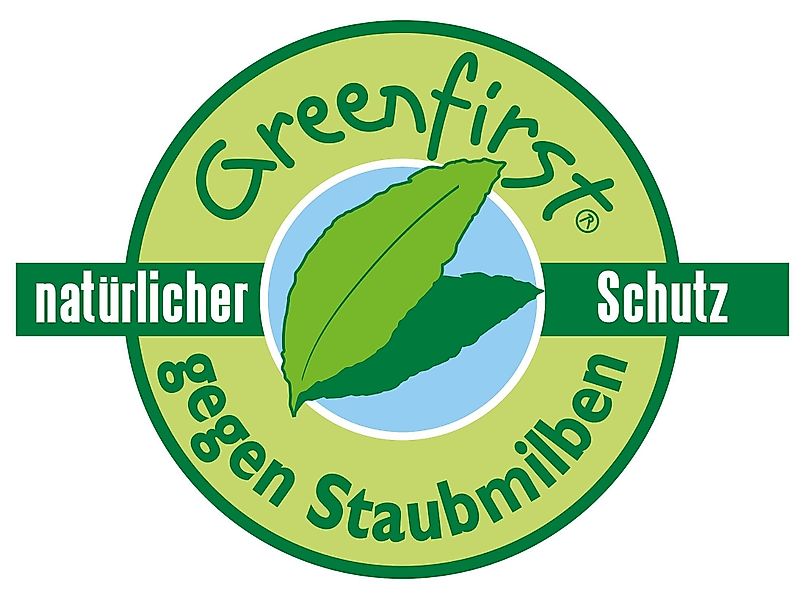 KBT Bettwaren Microfaserkissen Greenfirst® günstig online kaufen