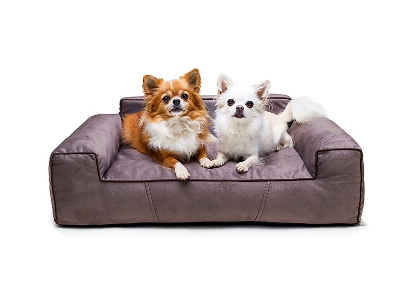 Bjird Tierbett Hundebett LUNA Fancy, Bezug abnehmbar und waschbar, Hundesof günstig online kaufen
