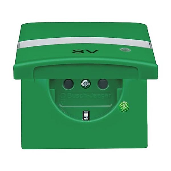 Busch-Jaeger SCHUKO Steckdosen-Einsatz grün RAL6032 20 EUGKBLN-13-102 günstig online kaufen