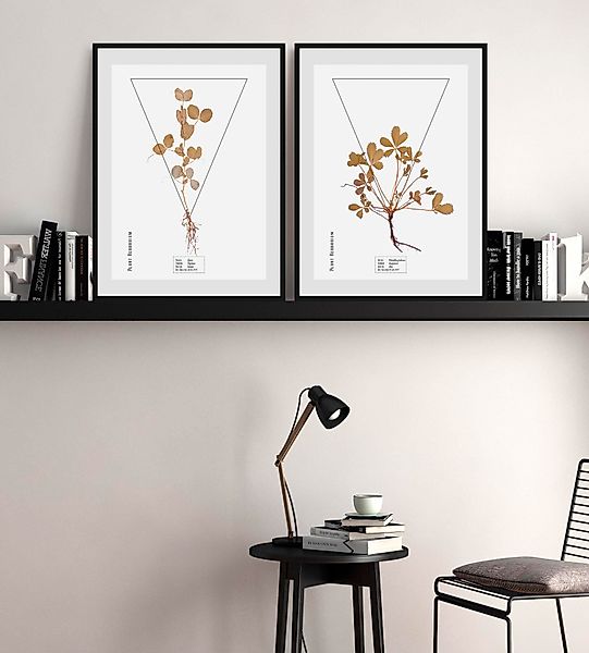 queence Bild »Potentilla fruticosa«, Pflanzen-Pflanzenbilder-Schriftzug, (1 günstig online kaufen