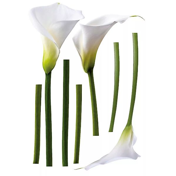 Dekosticker Blumen weiß grün B/L: ca. 50x70 cm 2 tlg. günstig online kaufen