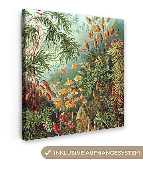 OneMillionCanvasses® Leinwandbild Alte Meister - Kunst günstig online kaufen