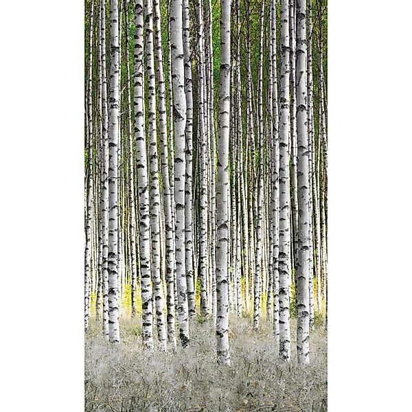 Marburg Vliestapete Ornamental Industrial Beige-Blau 270 cm x 159 cm FSC® günstig online kaufen