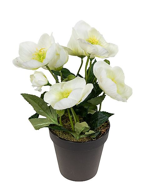 Kunstblume Christrosenbusch im Topf PM Kunstpflanzen künstliche Blumen Chri günstig online kaufen