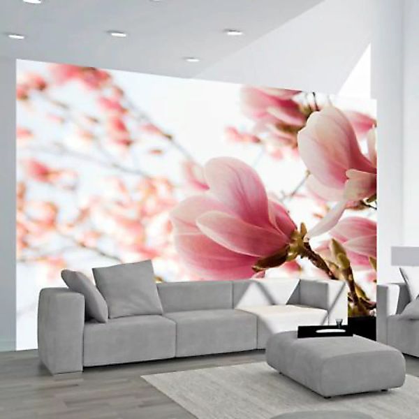 artgeist Fototapete Rosafarbene Magnolie mehrfarbig Gr. 200 x 154 günstig online kaufen