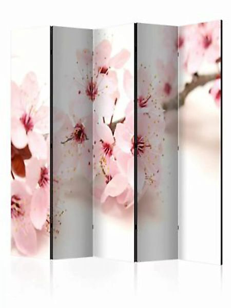 artgeist Paravent Cherry Blossom II [Room Dividers] mehrfarbig Gr. 225 x 17 günstig online kaufen