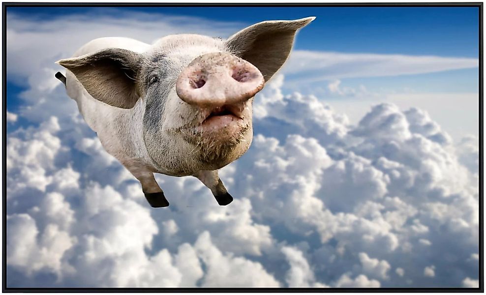 Papermoon Infrarotheizung »Fliegendes Schwein« günstig online kaufen