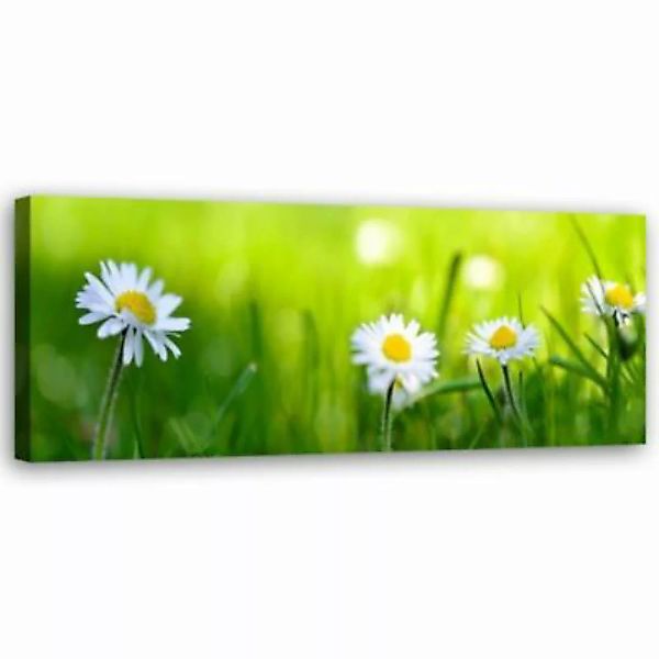 FEEBY® Kunst Gänseblümchenblume Leinwandbilder bunt Gr. 90 x 30 günstig online kaufen