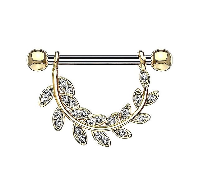 Taffstyle Intimpiercing Intim Piercing Brustwarzenpiercing Kristall, Intimp günstig online kaufen