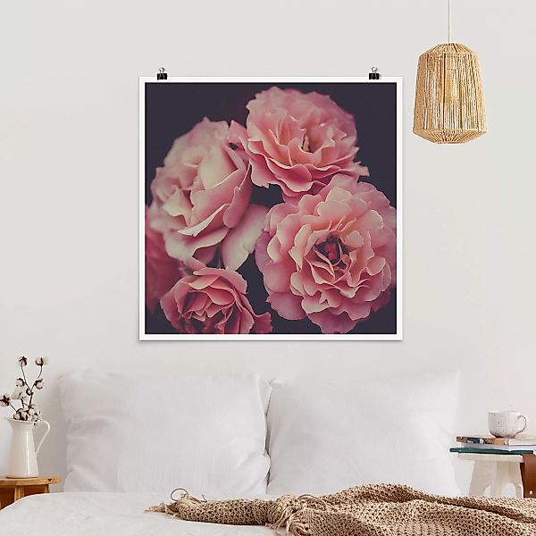 Poster Rosenträume günstig online kaufen