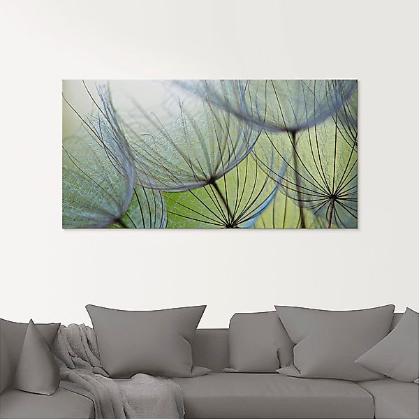 Artland Glasbild »Pusteblumen-Samen II«, Blumen, (1 St.), in verschiedenen günstig online kaufen