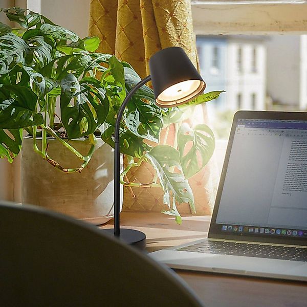 Briloner Leuchten Tischleuchte »BIWO TISCHLAMPE« günstig online kaufen