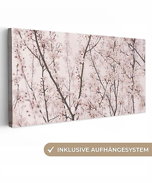 OneMillionCanvasses® Leinwandbild Panorama Blüte - Bäume günstig online kaufen