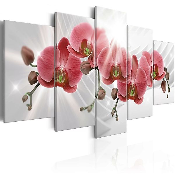 Wandbild - Abstract Garden: Red Orchis günstig online kaufen