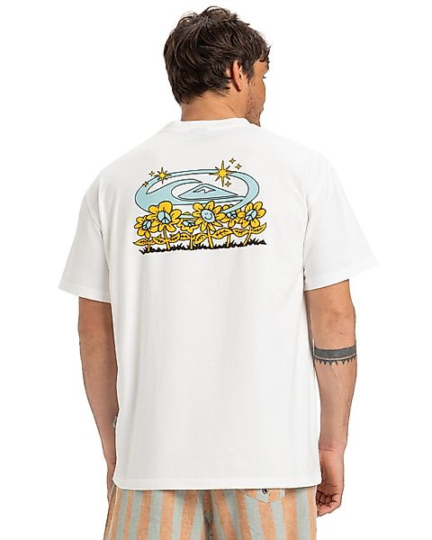 Quiksilver Print-Shirt Nd Nature Magic - günstig online kaufen