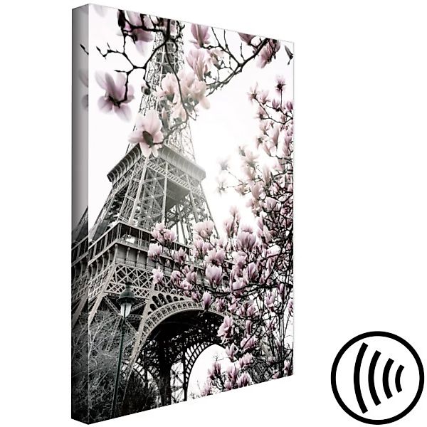 Bild auf Leinwand Magnolias in the Paris Sun (1 Part) Vertical XXL günstig online kaufen