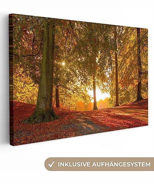 OneMillionCanvasses® Leinwandbild Herbst - Licht - günstig online kaufen