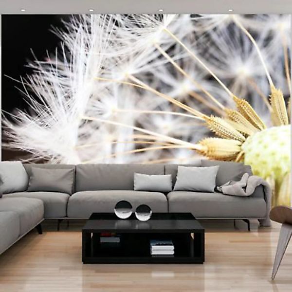 artgeist Fototapete Fluffy dandelion mehrfarbig Gr. 350 x 245 günstig online kaufen