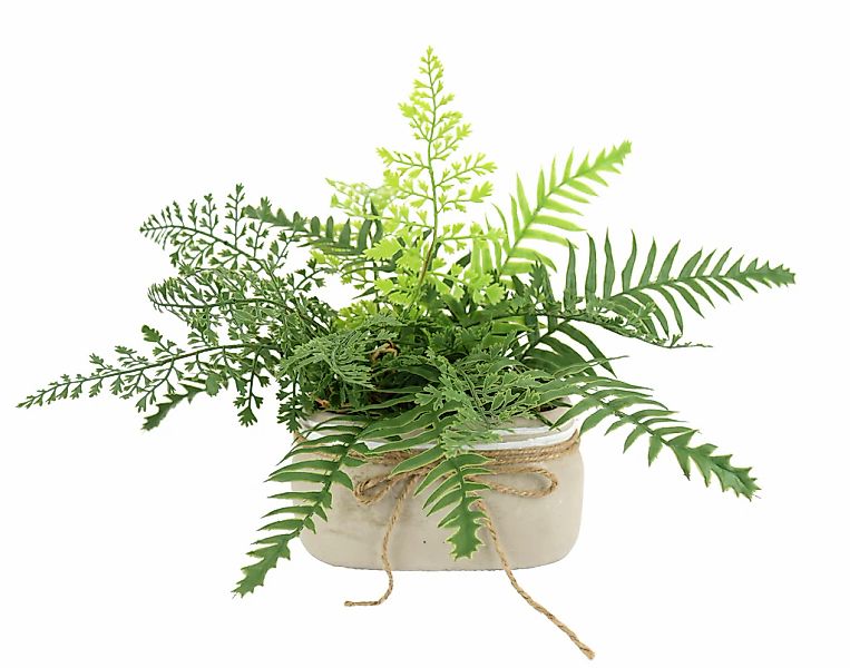Kunstpflanze Farnbusch in Pflanzschale, I.GE.A., Höhe 23 cm, Vogel Deko Pfl günstig online kaufen