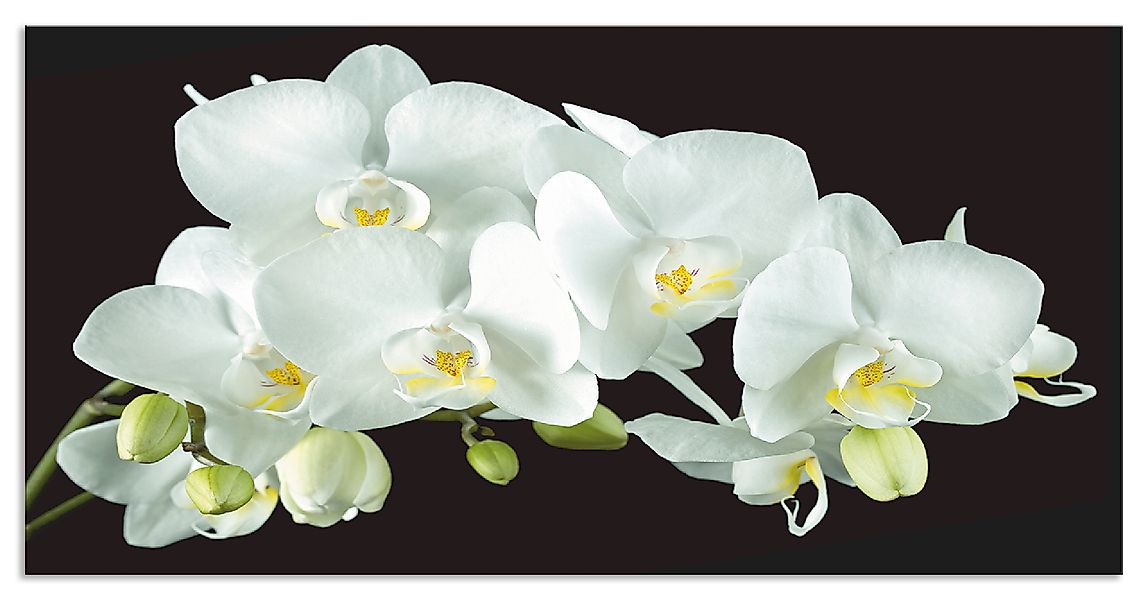 Artland Küchenrückwand »Weiße Orchidee auf schwarzem Hintergrund«, (1 tlg.) günstig online kaufen
