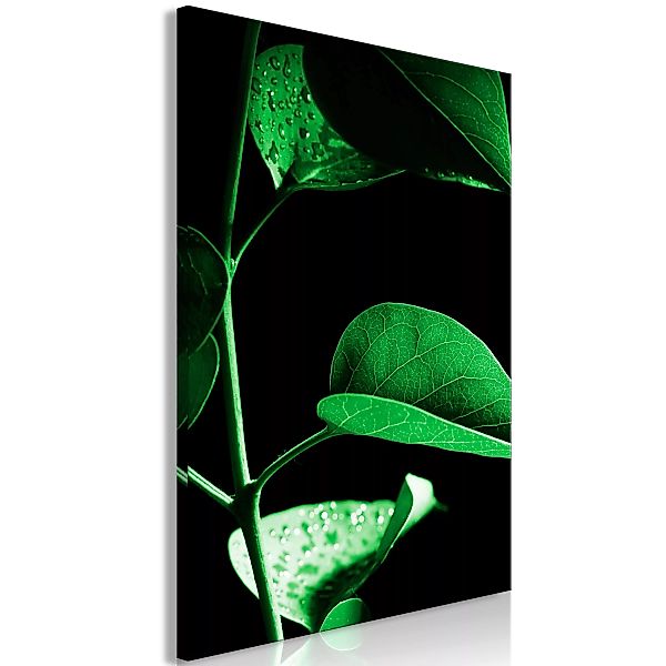Wandbild - Plant in Black (1 Part) Vertical günstig online kaufen